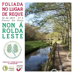 Imaxe para Foliada no Lugar de Reque