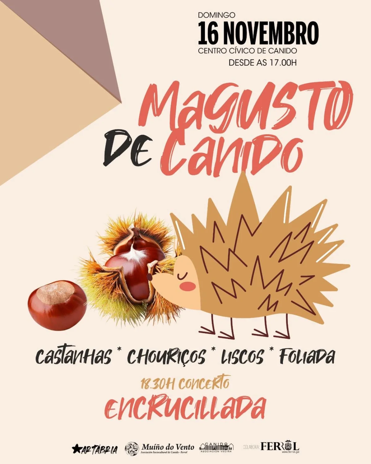 Imaxe principal para Magusto de Canido