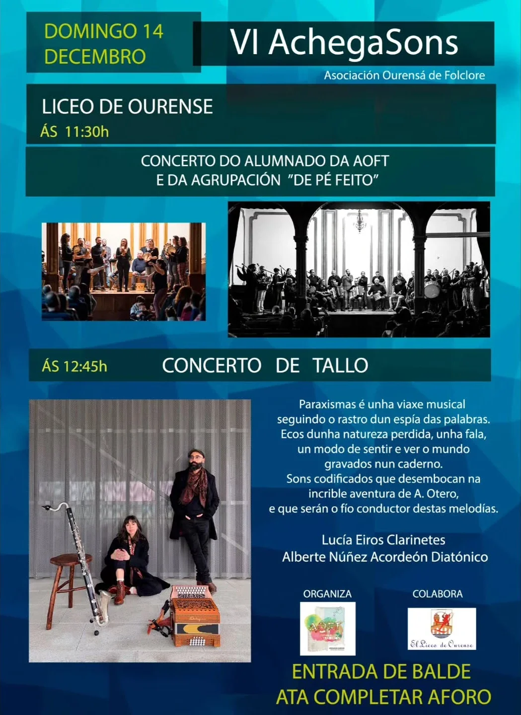 Imaxe principal para VI AchegaSóns