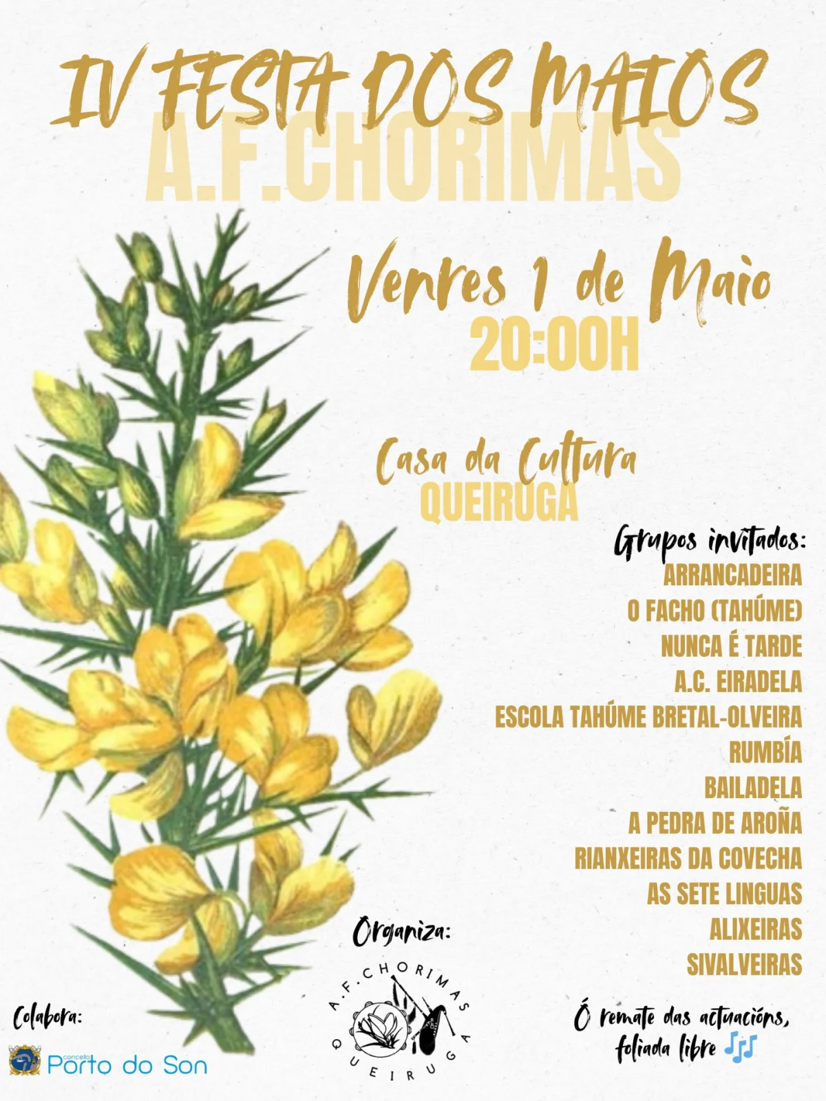 Imaxe principal para IV Festa dos maios