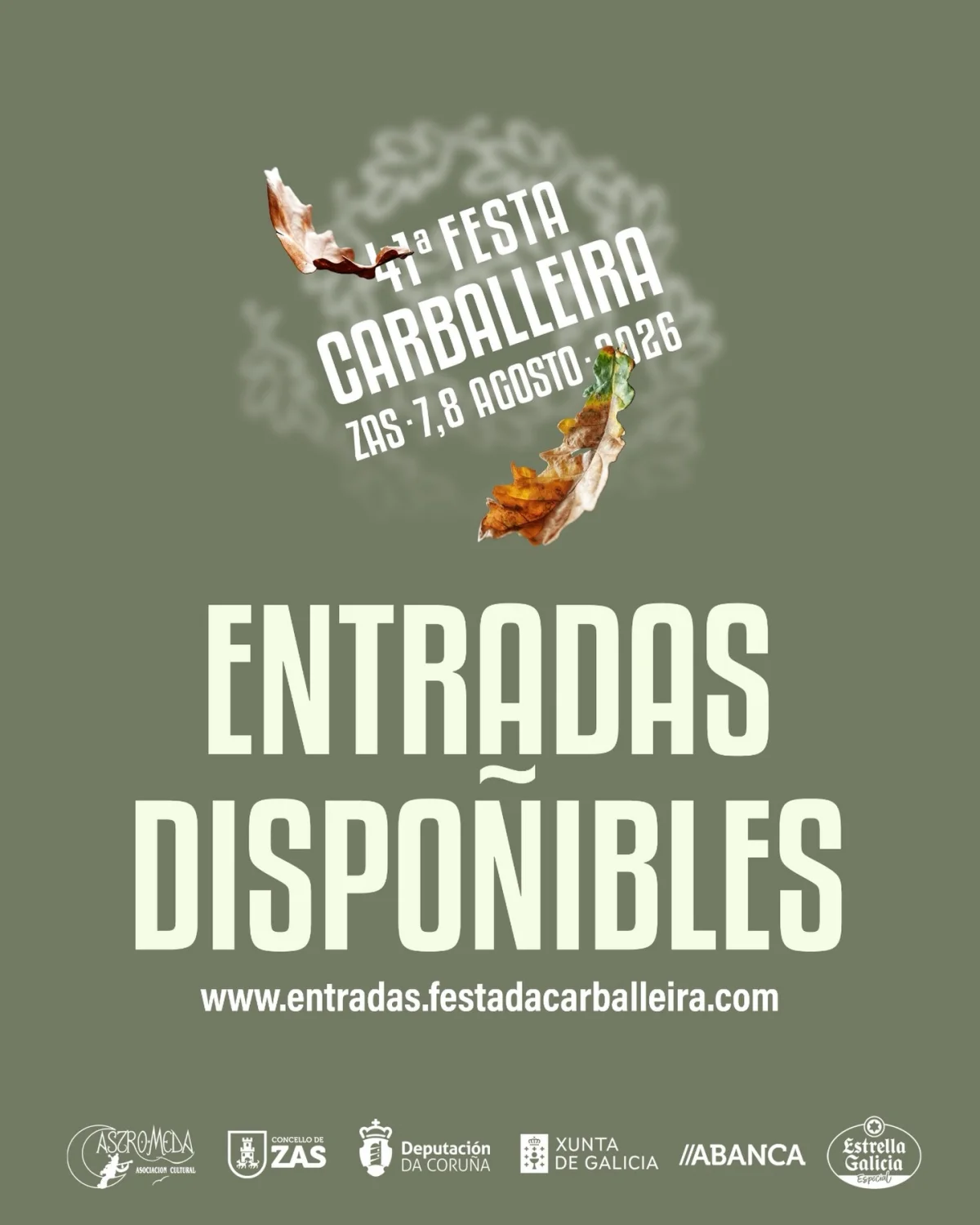 Imaxe principal para XLI Festa da Carballeira