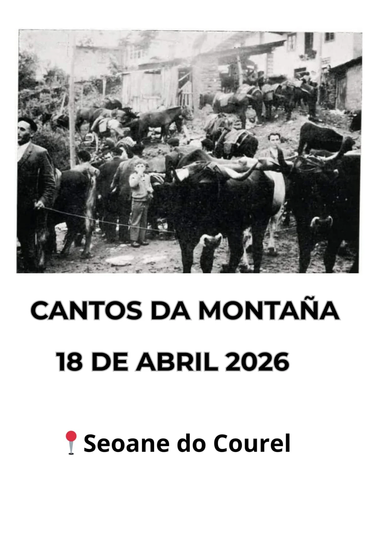 Imaxe principal para Cantos da montaña