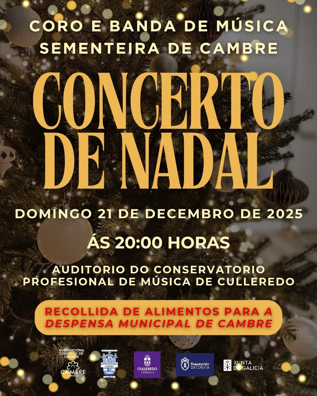 Imaxe principal para Concerto de Nadal Sementeira