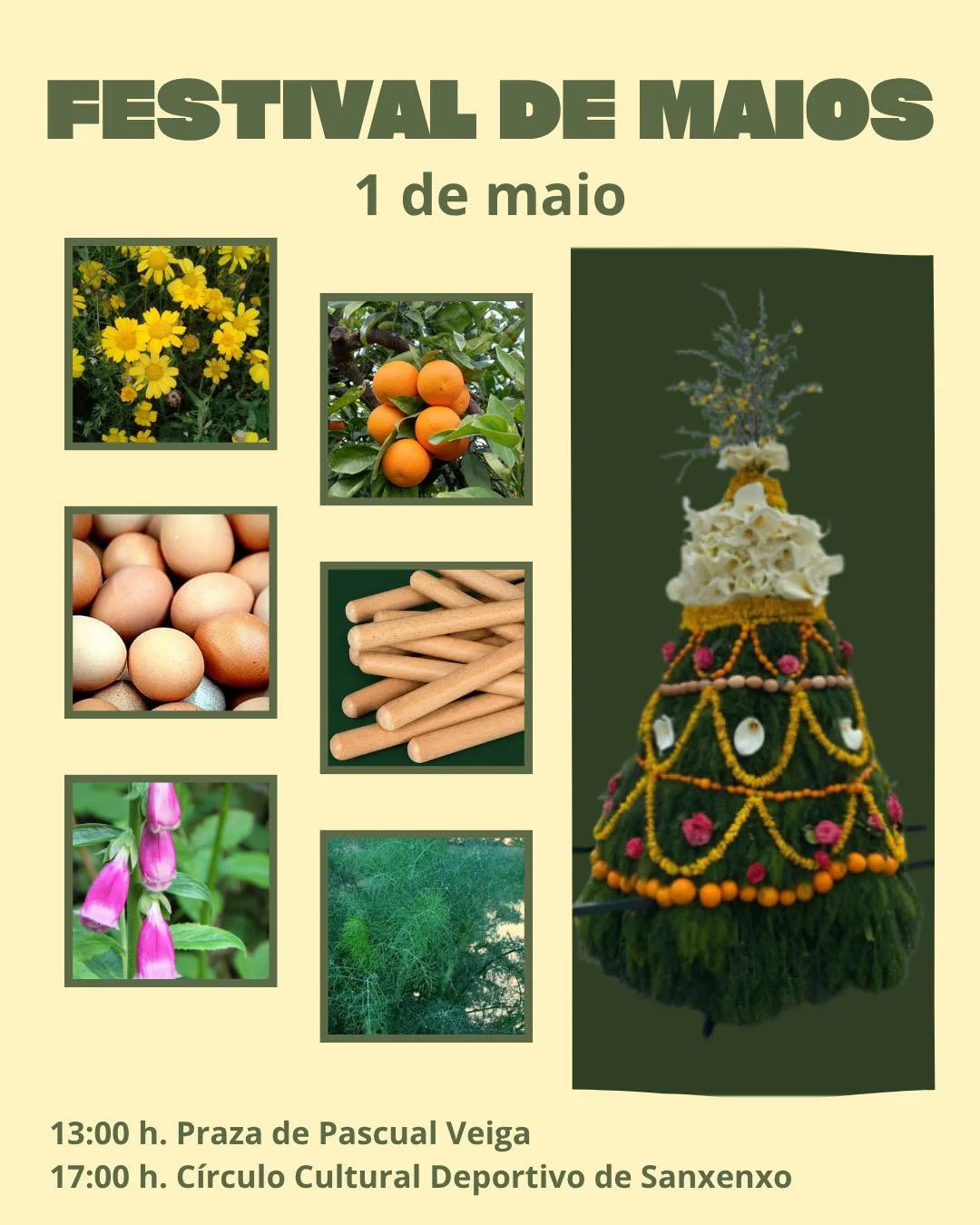 Imaxe principal para Festival dos maios