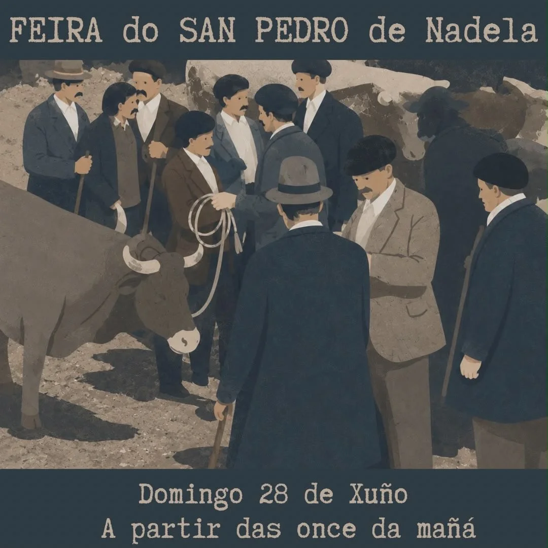 Imaxe principal para Feira do San Pedro de Nadela