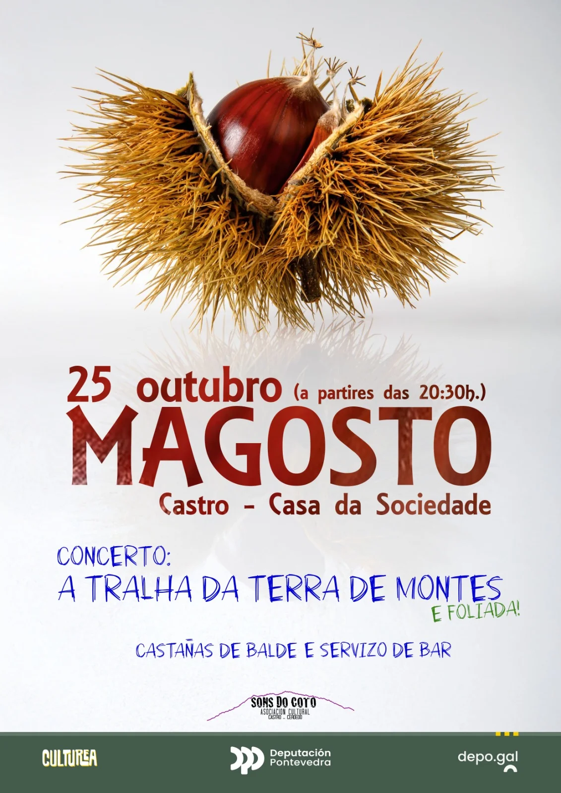 Imaxe principal para Magosto Sons do Coto (con foliada)