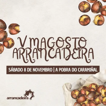 Imaxe para 8 novembro 2025