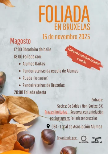 Imaxe para 15 novembro 2025