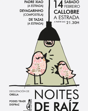 Imaxe para 14 febreiro 2026