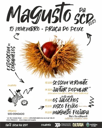 Imaxe para 15 novembro 2025