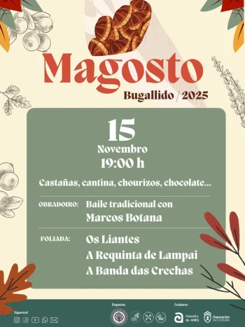 Imaxe para 15 novembro 2025