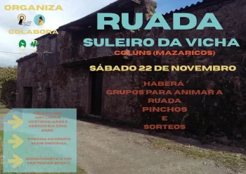 Imaxe para 22 novembro 2025