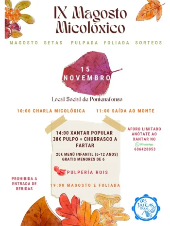 Imaxe para 15 novembro 2025