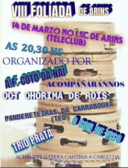 Imaxe para VIII Foliada de Aríns