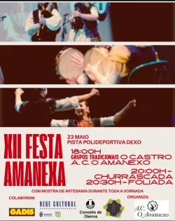 Imaxe para XII Festa Amanexa