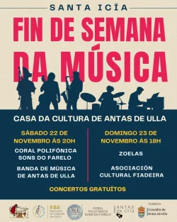 Imaxe para Fin de semana da música