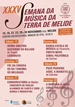 Imaxe para XXXV Semana da Música da Terra de Melide