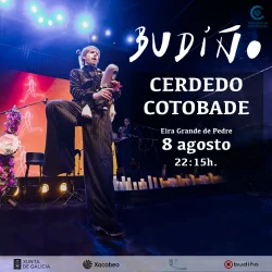 Imaxe para Budiño en Cerdedo-Cotobade