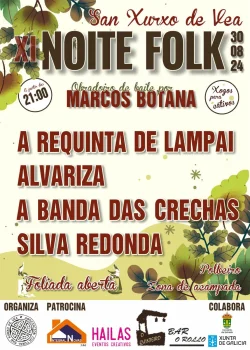 Imaxe para XI Noite Folk
