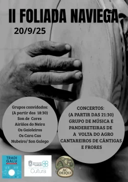 Imaxe para II Foliada Naviega