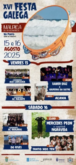 Imaxe para XVI Festa galega