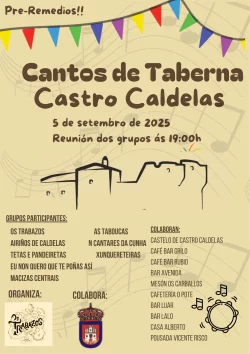 Imaxe para Cantos de taberna Castro Caldelas