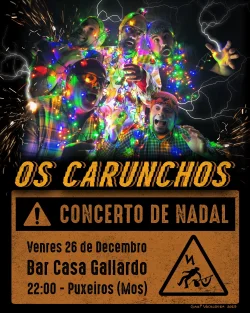 Imaxe para Concerto de Nadal dos Carunchos
