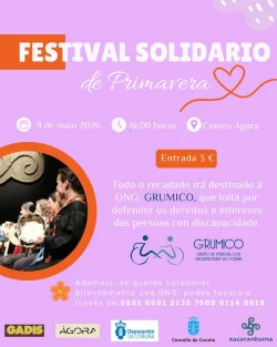 Imaxe para Festival solidario de primavera