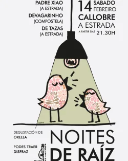 Imaxe para Folk de raíz