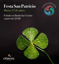 Imaxe para Festa San Patricio