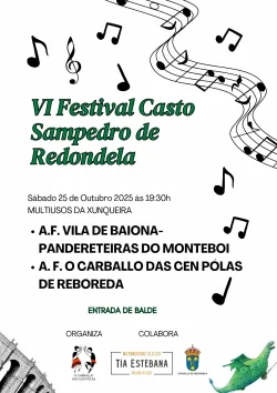Imaxe para IV Festival Casto Sampedro