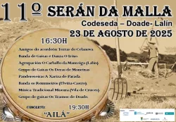 Imaxe para Serán da malla na Festa da malla tradicional