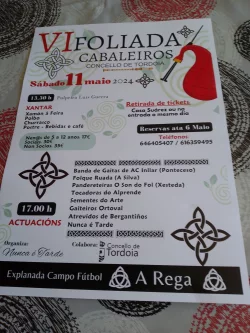 Imaxe para VI Foliada de Cabaleiros