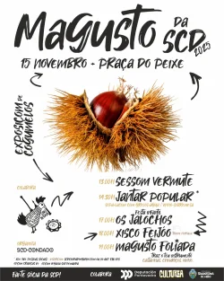 Imaxe para Magusto foliada en Salvaterra de Miño