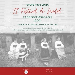 Imaxe para II Festival de Nadal Novo Viana