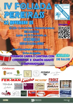 Imaxe para IV Foliada de Pereiras