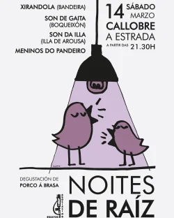 Imaxe para Folk de raíz