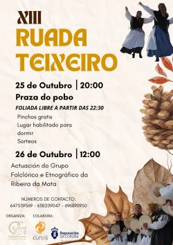 Imaxe para XIII Ruada de Teixeiro