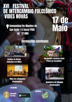 Imaxe para XVI Festival de intercambio folclórico Vides Novas