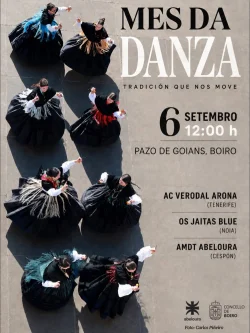 Imaxe para Mes da danza
