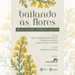 Imaxe para Bailando ás flores