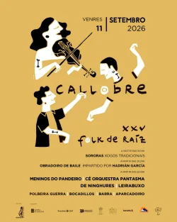 Imaxe para XXV Folk de raíz