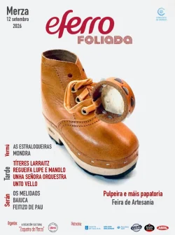 Imaxe para Foliada Elena Ferro
