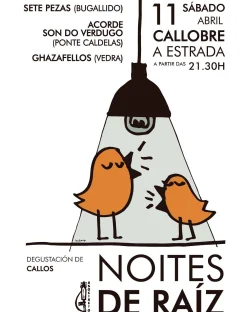 Imaxe para Noite de raíz